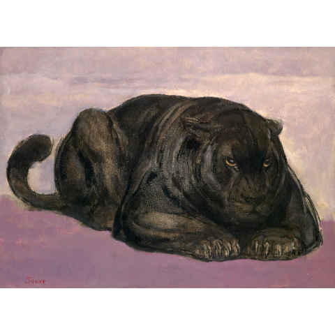 Panthère noire couchée de face. Vers 1930.