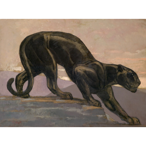 Panthère noire descendant d'un rocher. Vers 1932.