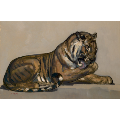 Tigre couché se léchant la patte, vers 1922
