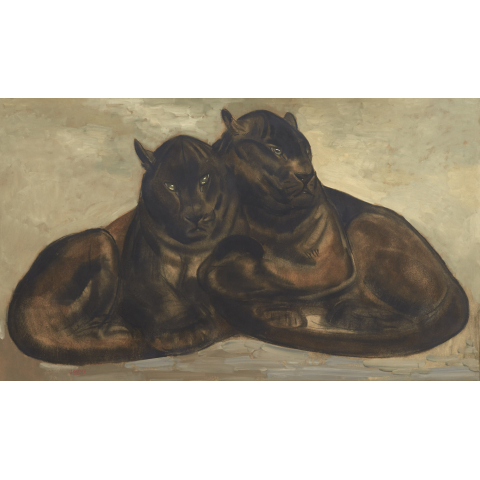 Panthères noires bloties. vers 1925.