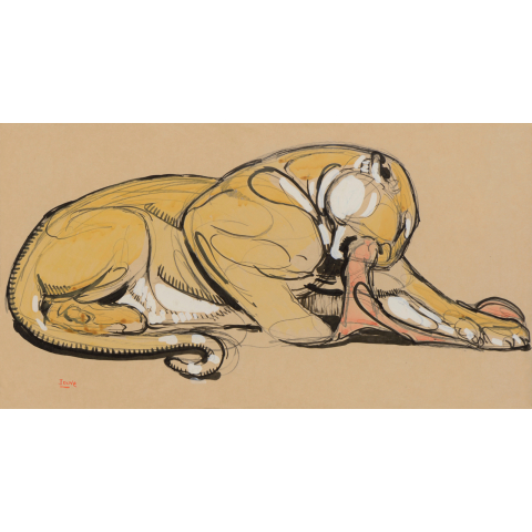 Panthère couchée sur sa proie. Vers 1930.