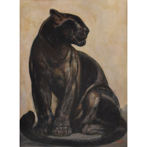 Panthère noire assise. Vers 1960.