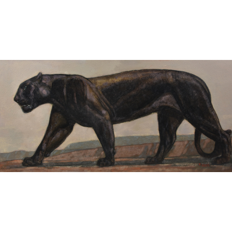 Panthère noire marchant.