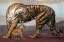 Paul JOUVE (1878-1973) - Tigre et son petit