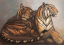 Vente par "Oxio SVV" du 04/04/2021 - Deux tigres couchés. C 1960. (lot n°197)