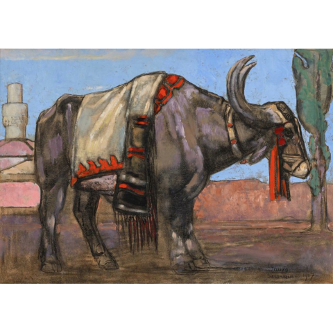 Buffle à Salonique. 1917