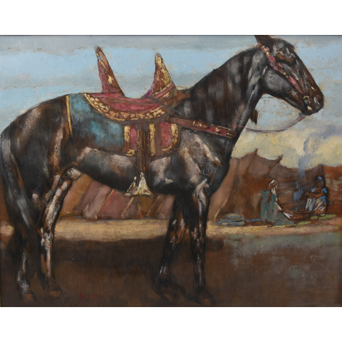Cheval arabe harnaché, vers 1920.