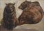 Paul JOUVE (1878-1973) - Deux ours bruns couchés, vers 1950.
