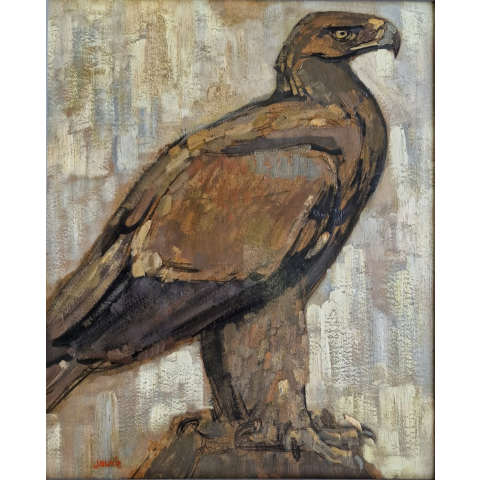 Aigle de profil.