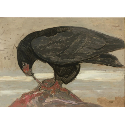 Aigle déchiquetant sa proie
