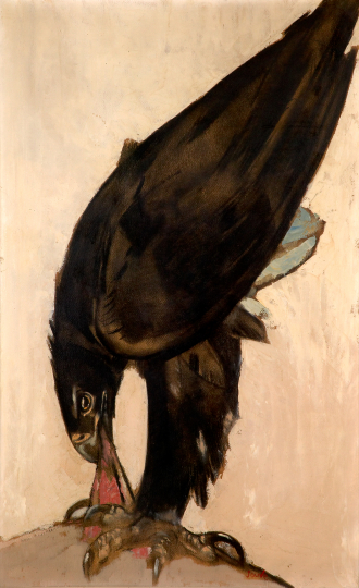 Paul JOUVE (1878-1973) - Aigle de Verreau sur sa proie. Vers 1922.