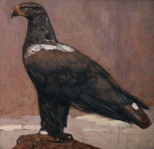 Paul JOUVE (1878-1973) - Aigle royal de profil. Vers 1920.