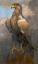 Paul JOUVE (1878-1973) - Aigle sur un rocher. Vers 1932.