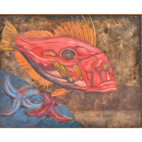 Poisson des Bermudes, 1956
