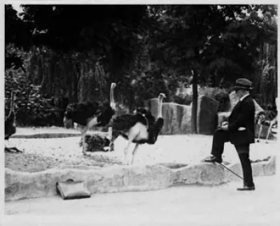 Paul Jouve in front of the ostrich enclosure.
Vincennes Zoo