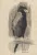 Aigle, vers 1905. Mine graphite sur papier. Signé bas droite,  22 x 13 cm

Acquisition en 1907, Numéro d'inventaire LUX. 0.390 D