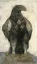Paul JOUVE (1878-1973) - Aigle. (Peintures)