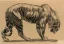 Paul JOUVE (1878-1973) - Tigre, 1910.