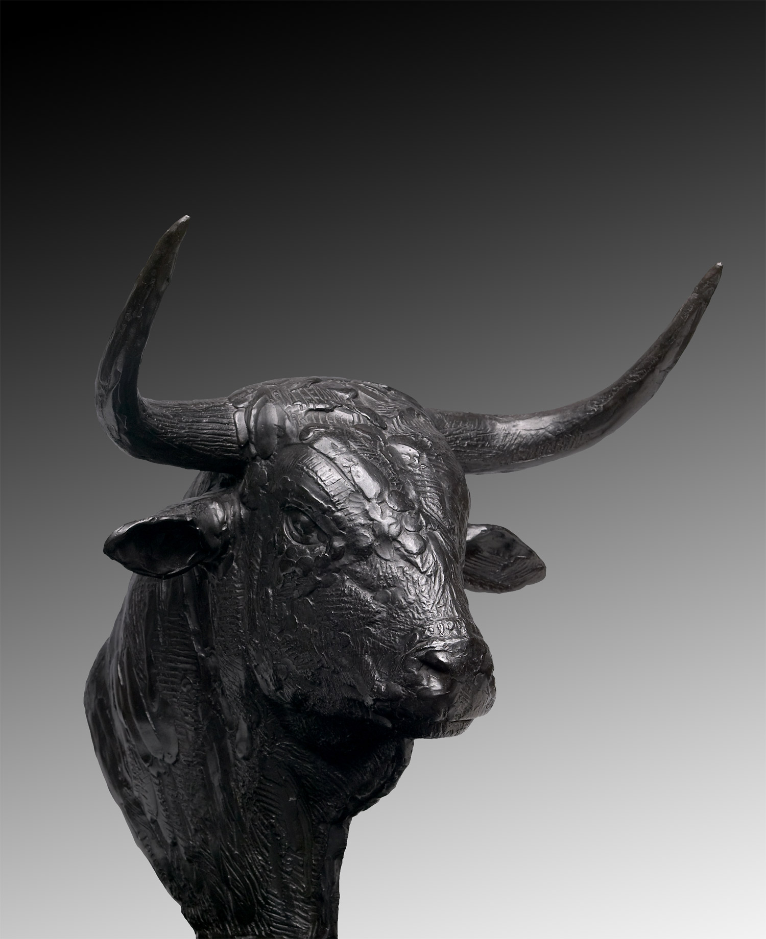 Tête de taureau. 1937.