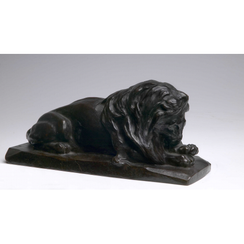 Lion lying 1904