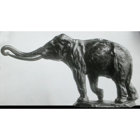 Elephant. 1913.