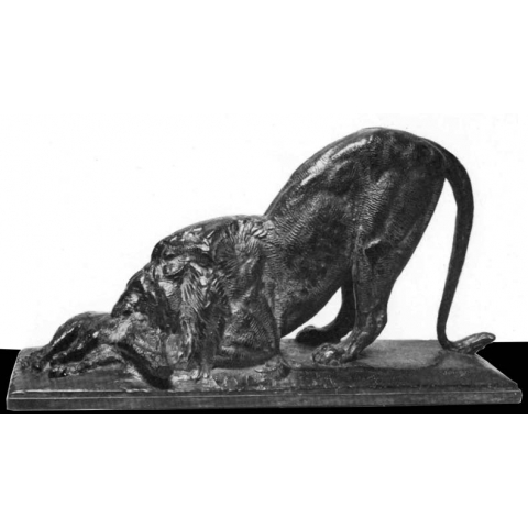 Lion dévorant un marcassin, C 1935.
