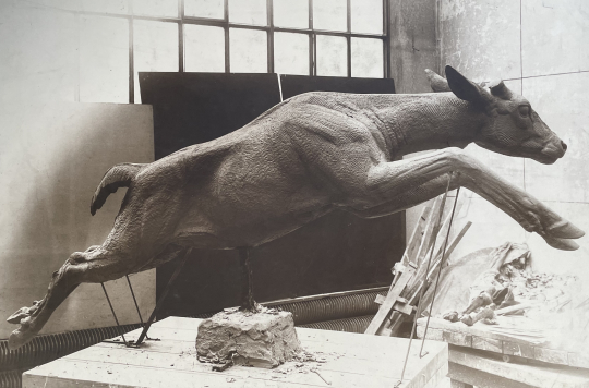 Paul JOUVE (1878-1973) - Daim bondissant, 1937.