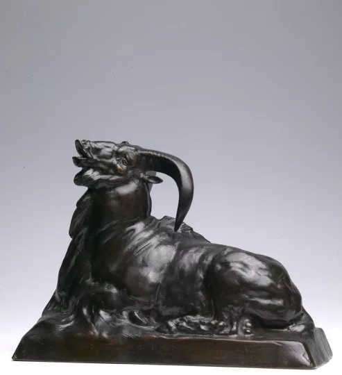 Paul JOUVE (1878-1973) - Mouflon 1904