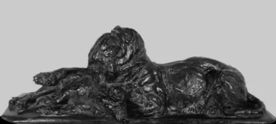 Paul JOUVE (1878-1973) - Tigre de Java mangeant un sanglier (1914) 