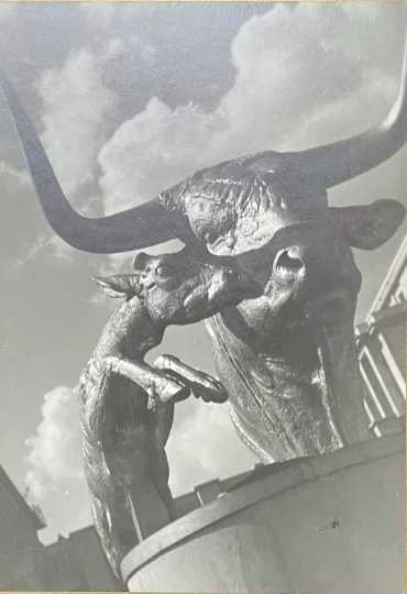 Paul JOUVE (1878-1973) - Tête de taureau. 1937. (1)
