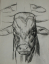 Paul JOUVE (1878-1973) - Tête de taureau. 1937.