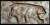 L'un des bas-relief de la frise inférieure, de la porte monumentale. Exposition universelle de 1900.

Ours. Bas relief en grès cérame flammé, Alexandre Bigot Éditeur

Signé PJ et Bigot. 49 x 104 x 10 cm