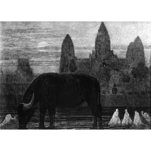 Buffalo in front of the temple in Angkor, 1922
