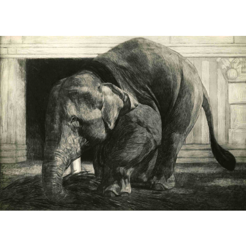 Elephant eating in front of the temple in Madura, 1923