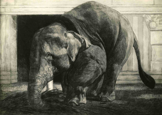 Paul JOUVE (1878-1973) - Elephant eating in front of the temple in Madura, 1923