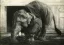 Paul JOUVE (1878-1973) - Elephant eating in front of the temple in Madura, 1923