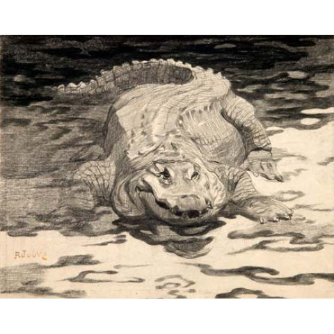 Crocodile, 1910