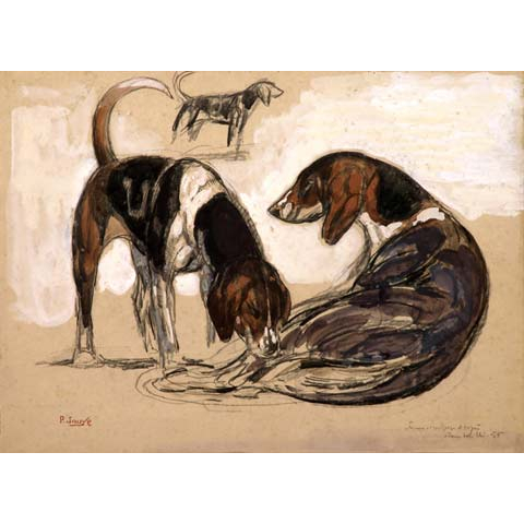 The Duchesse d'Uzès’s hunting dogs, 1956