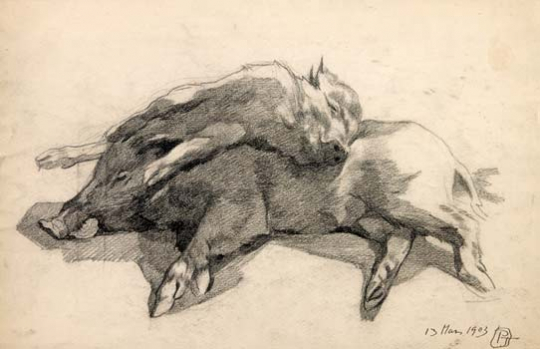 Paul JOUVE (1878-1973) - Deux cochons morts, 1903