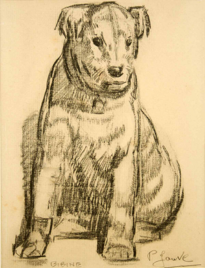 Paul JOUVE (1878-1973) - Bibine the dog