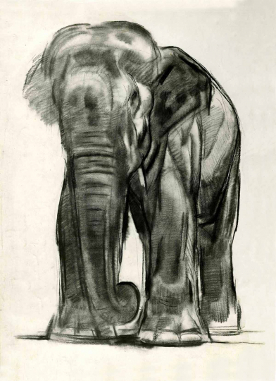 Paul JOUVE (1878-1973) - Elephant 1930
