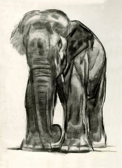 Paul JOUVE (1878-1973) - Éléphant, vers 1930 (1)