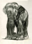 Paul JOUVE (1878-1973) - Elephant 1930