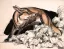 Paul JOUVE (1878-1973) - Renard, 1953