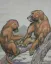 Paul JOUVE (1878-1973) - Babouins
