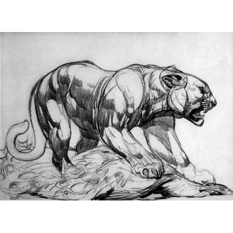 Panther and his prey, 1922