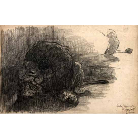 Lion lying, 1895