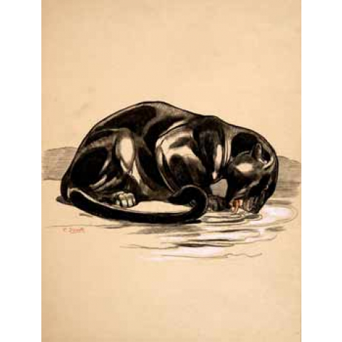 Panthère noire buvant, 1925