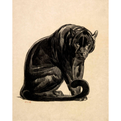 Black panther sitting, 1925