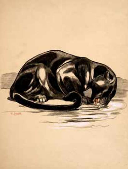 Paul JOUVE (1878-1973) - Panthère noire buvant, 1925